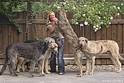 Bettina with Hounds Galore