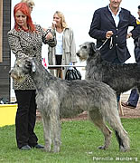 Quartet, September 2006, EIWC show in France